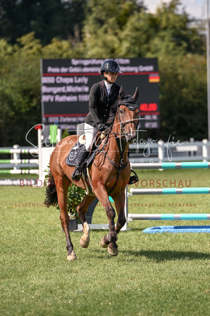 Schugtsche-Düren.2024-09.Springprf.L-174 | Schugtsche Fotografie - Realisiert mit Pictrs.com