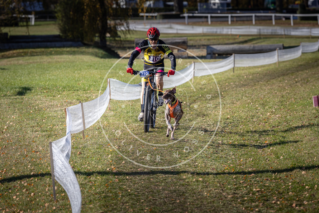 CaniXpix_DV3A6305 | Hundefotografie, Tierfotograf, Pfotenfotografie, Fotoshooting Hund, Hunde Portrait, Hundesport, Hundeportraits, Heideshooting, Hunde, Sportfotograf, Hundefotograf, Turnierhundsport, THS,  - Realisiert mit Pictrs.com