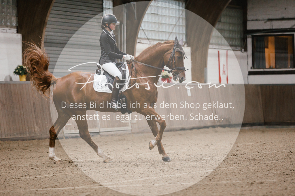 3I6A5937 | Stimmungsvolle Portraits und Reitsportfotografie im Ruhrgebiet und im Münsterland.

Pferdefotografie, Hundefotografie, Tierfotografie, Reportagen, Portraits von Tier und Mensch, Turnierfotografie in Bochum, Recklinghausen, Marl, Haltern am See, Dülmen.. - Realisiert mit Pictrs.com