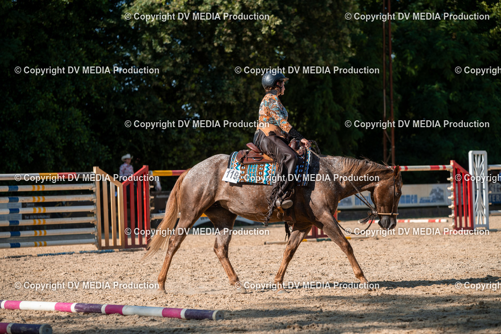 EWP_6986 | dv-media-shop - Realisiert mit Pictrs.com