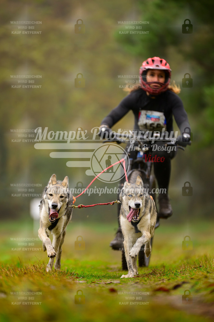 MompixPhotography_Bischwiller2025_Bike-120 | mompixphotography