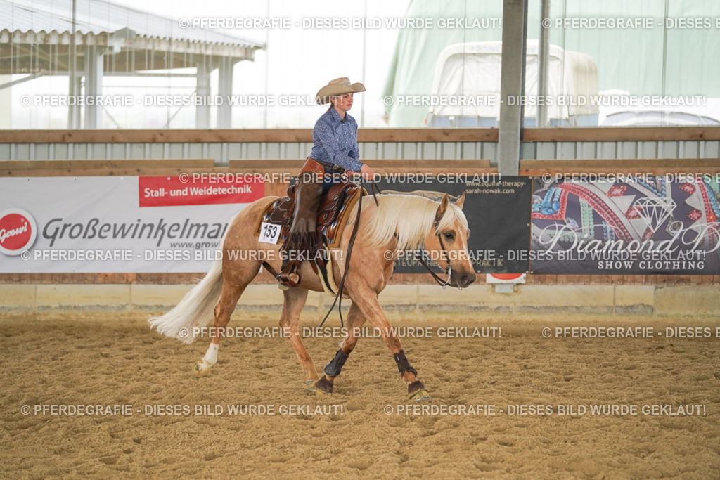 DSC05880 | Pferdegrafie