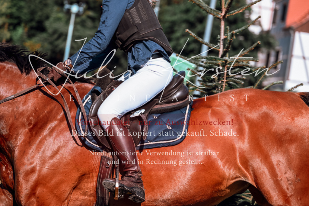 DSC_0575 | Pferde- und Turnierfotografie in Westsachsen. Pferdeportraits, Auftragszeichnungen und intuitive Kunst.