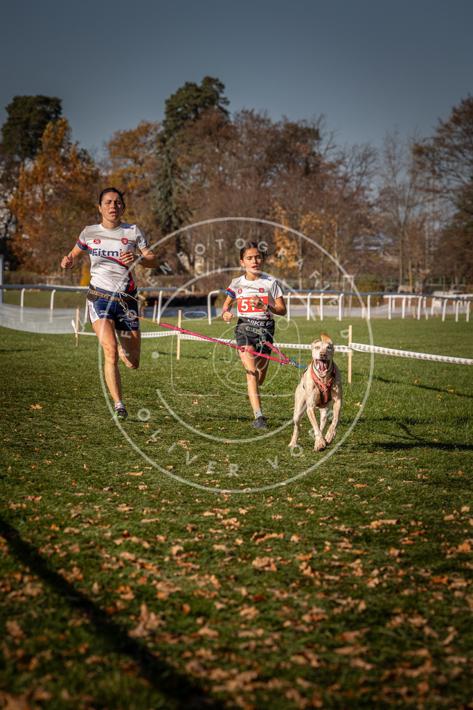 CaniXpix_0L8A6969 | Hundefotografie, Tierfotograf, Pfotenfotografie, Fotoshooting Hund, Hunde Portrait, Hundesport, Hundeportraits, Heideshooting, Hunde, Sportfotograf, Hundefotograf, Turnierhundsport, THS,  - Realisiert mit Pictrs.com