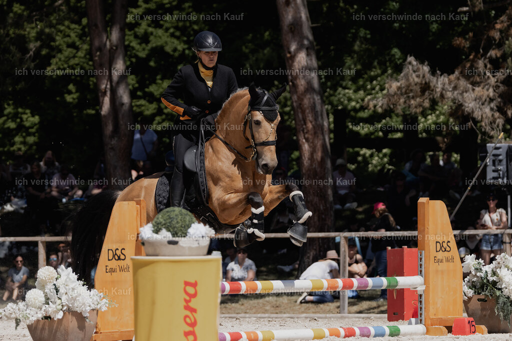 WE_SP_Stoib_319_PI2025_1743 | Pferd International München 2025