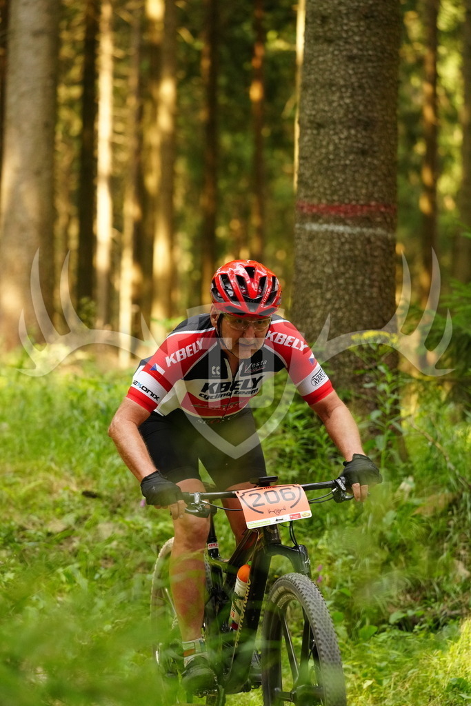 FC103144 | Fotogalerie der Treibjagd im Dunkelwald - Dein MTB Etappenrennen im Erzgebirge - Realisiert mit Pictrs.com