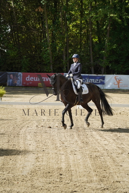 VAN00826 | Marie Giesen Fotografie - Realisiert mit Pictrs.com