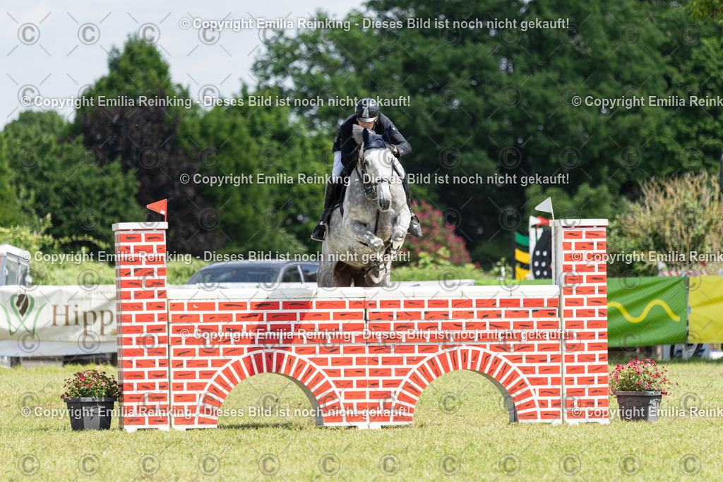 CL5A8250 | Emilia Reinking Fotografie - Realisiert mit Pictrs.com