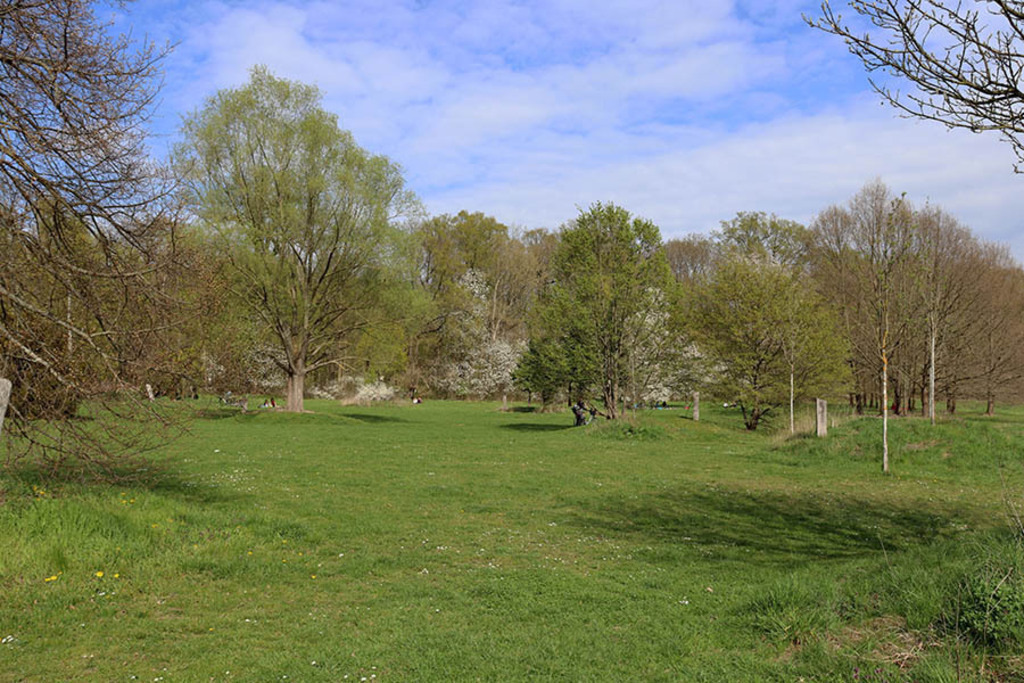 Volkspark Kleinzschocher - Leipziger Hain der Jahresbäume | Entdecke über 20 Kategorien Leipzig-Motive: Foto-Downloads, hochwertige Poster, Leinwand- & Fine-Art-Prints. Jetzt Lieblingsfoto im Bildlexikon Leipzig Shop bestellen!