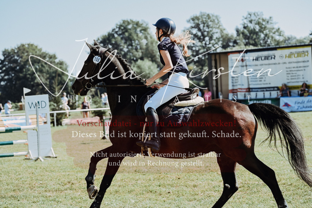 DSC_5916 | Pferde- und Turnierfotografie in Westsachsen. Pferdeportraits, Auftragszeichnungen und intuitive Kunst.