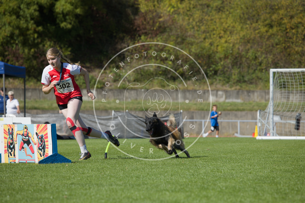 0L8A7287 | Hundefotografie, Tierfotograf, Pfotenfotografie, Fotoshooting Hund, Hunde Portrait, Hundesport, Hundeportraits, Heideshooting, Hunde, Sportfotograf, Hundefotograf, Turnierhundsport, THS,  - Realisiert mit Pictrs.com