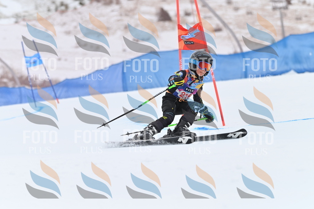 BGV_2804 | holidayphoto