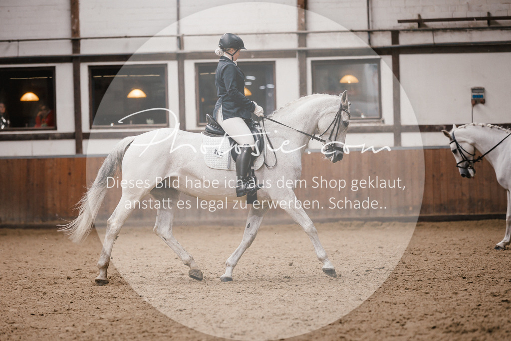 3I6A7331 | Stimmungsvolle Portraits und Reitsportfotografie im Ruhrgebiet und im Münsterland.

Pferdefotografie, Hundefotografie, Tierfotografie, Reportagen, Portraits von Tier und Mensch, Turnierfotografie in Bochum, Recklinghausen, Marl, Haltern am See, Dülmen.. - Realisiert mit Pictrs.com