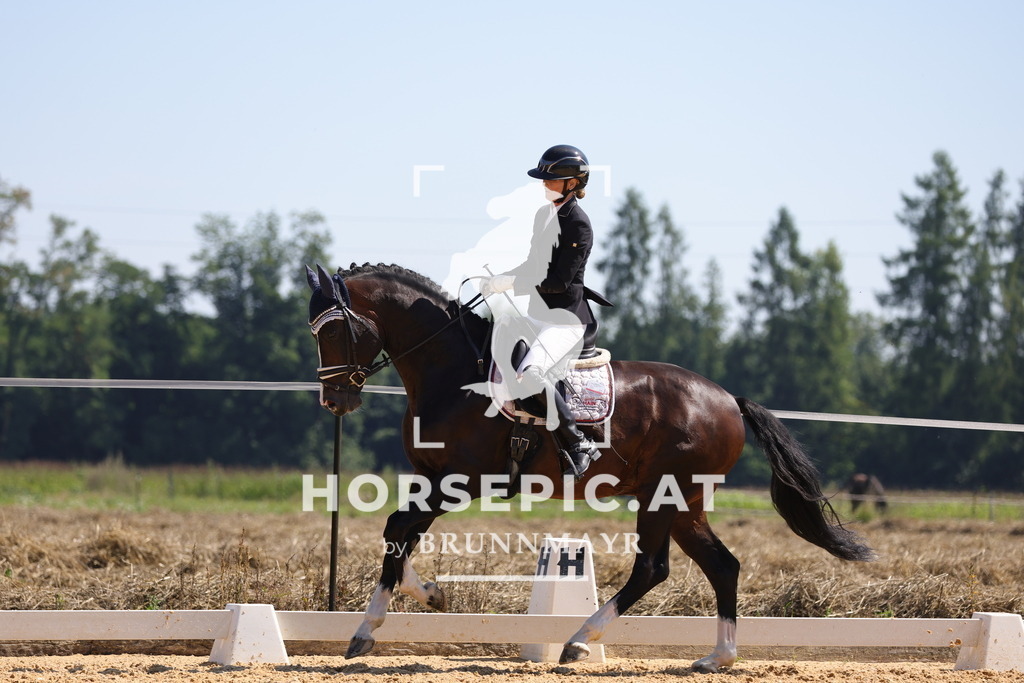 0P6A9644 | Willkommen bei Brunnmayr - Design & Fotografie – Ihrem Spezialisten für Reitturniere und Pferdeveranstaltungen in Oberösterreich, Salzburg und Bayern! Seit über 17 Jahren sind wir leidenschaftlich dabei.