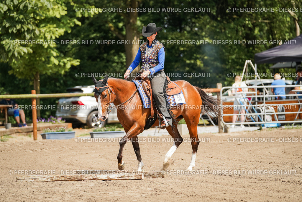 DSC06191 | Pferdegrafie