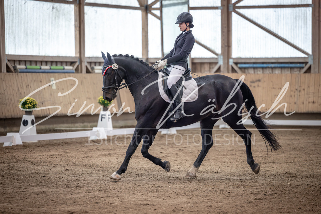20251011-_3LI1489 | Tierfotografie Pferde, Hunde, Katzen, Haustiere.
Turnierfotografie Reitturniere, Reiten, Springreiten, Dressur in Hanau, dem Main-Kinzig-Kreis und dem Rhein-Main- Gebiet um Frankfurt