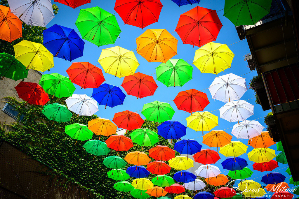 Umbrella Sky Projekt in Mainz in der Rotkopfgasse | Umbrella Sky Projekt in Mainz in der Rotkopfgasse
