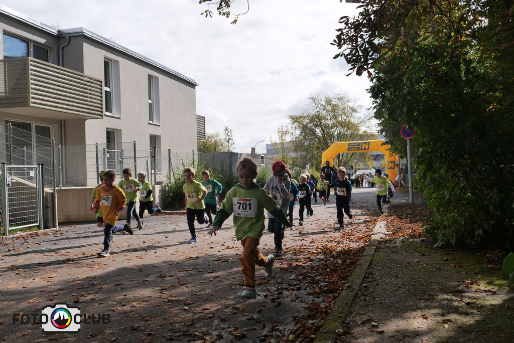 P1017467 | Foto Buchgraber