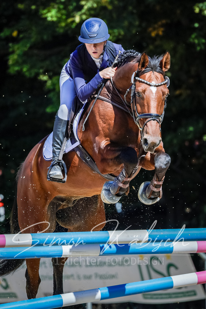 20250906-_3LI4125 | Tierfotografie Pferde, Hunde, Katzen, Haustiere.
Turnierfotografie Reitturniere, Reiten, Springreiten, Dressur in Hanau, dem Main-Kinzig-Kreis und dem Rhein-Main- Gebiet um Frankfurt