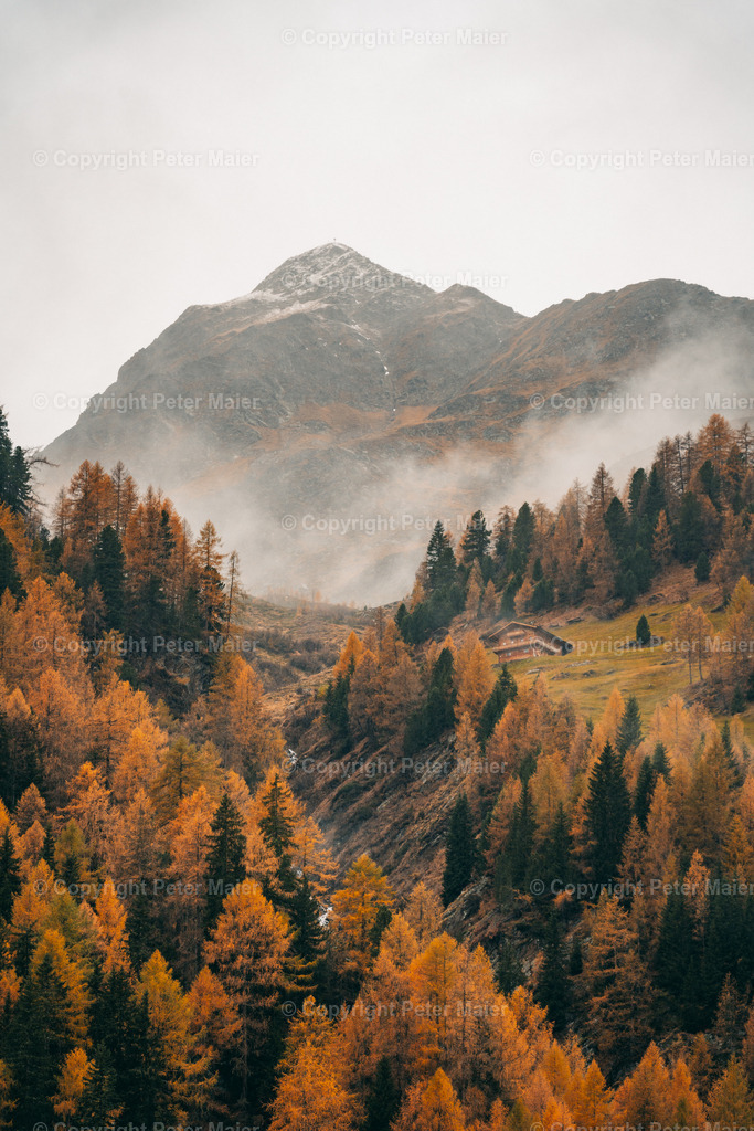 Oberstalleralm_Herbst_2022-37 | piet_flosse