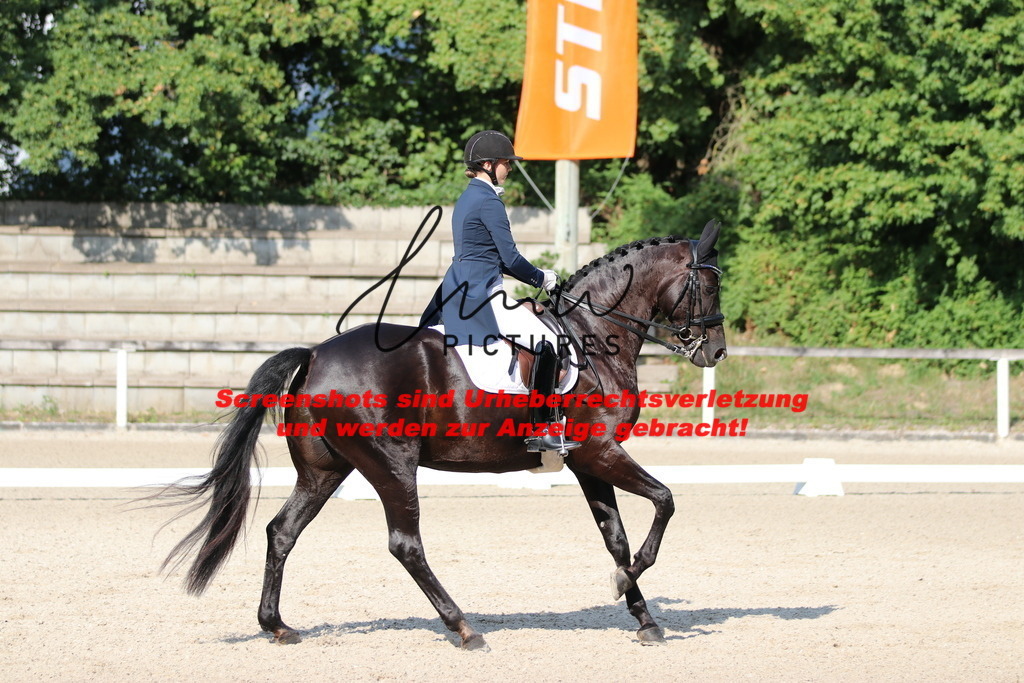 IMG_9007 | lmwpictures - Realisiert mit Pictrs.com