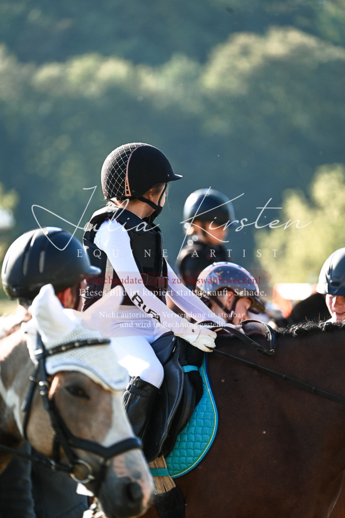 DSC_0520 | Pferde- und Turnierfotografie in Westsachsen. Pferdeportraits, Auftragszeichnungen und intuitive Kunst.