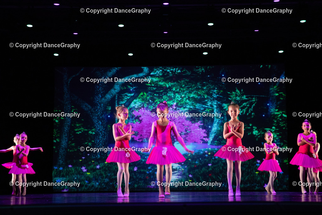 GPHY6034 | DanceGraphy - Realisiert mit Pictrs.com