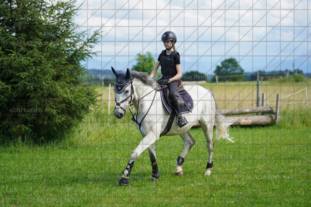20240622-FAH07889 | Turnierfotografen Bayern, Reitsportbilder aus dem Geländekurs mit Felix Etzel auf dem Gut Waitzacker 2024
