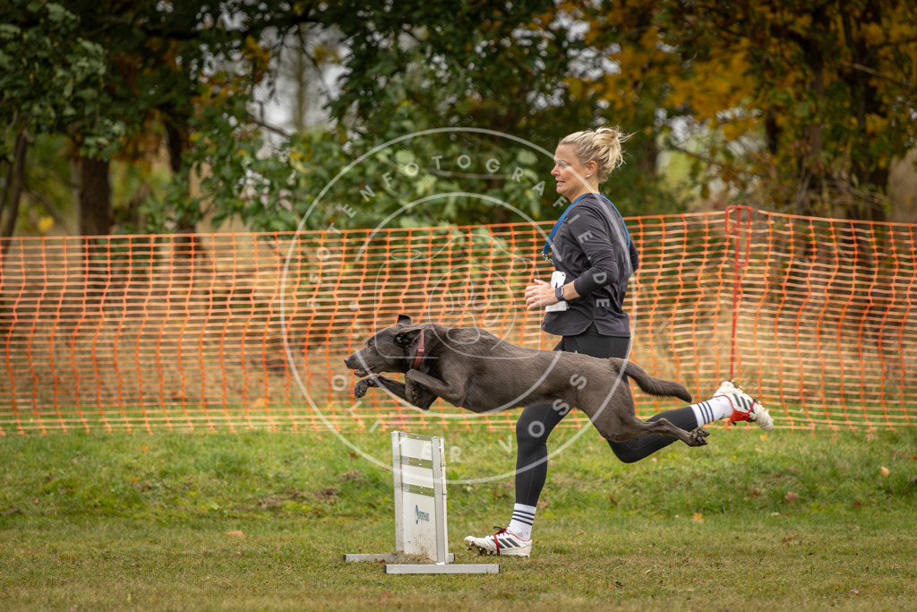 Pfotenfotografie_DV3A4335 | Hundefotografie, Tierfotograf, Pfotenfotografie, Fotoshooting Hund, Hunde Portrait, Hundesport, Hundeportraits, Heideshooting, Hunde, Sportfotograf, Hundefotograf, Turnierhundsport, THS,  - Realisiert mit Pictrs.com