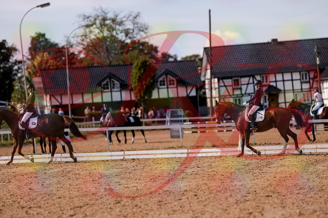 2026_10_03_Siefer-Hof_133146_Z81_86480789 | Professionelle Reitsport-, Turnier- und Eventfotografie von Robert Broda. Galerien mit ausgewählten und bearbeiteten Bildern direkt online ansehen und bestellen.