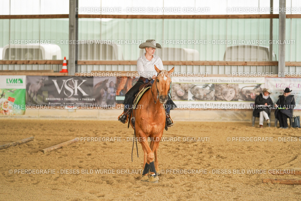 DSC02526 | Pferdegrafie