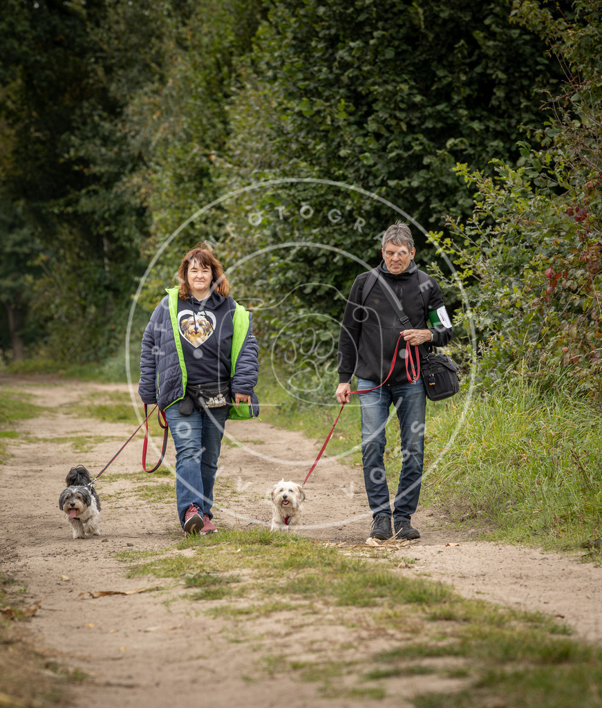 Pfotenfotografie_DV3A8588 | Hundefotografie, Tierfotograf, Pfotenfotografie, Fotoshooting Hund, Hunde Portrait, Hundesport, Hundeportraits, Heideshooting, Hunde, Sportfotograf, Hundefotograf, Turnierhundsport, THS,  - Realisiert mit Pictrs.com