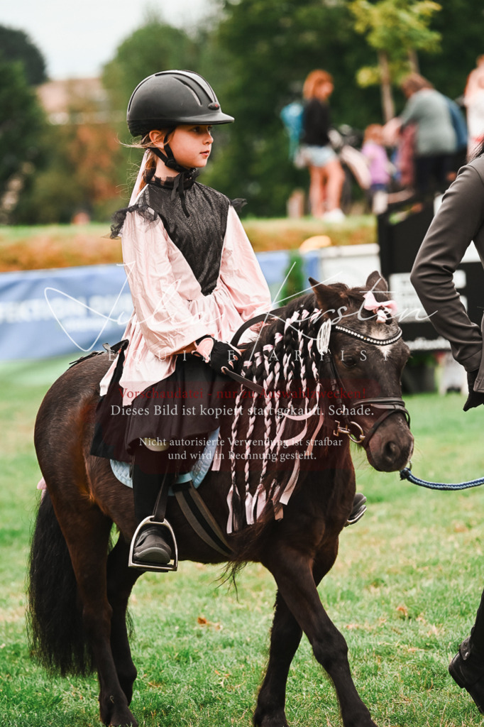 DSC_7404 | Pferde- und Turnierfotografie in Westsachsen. Pferdeportraits, Auftragszeichnungen und intuitive Kunst.