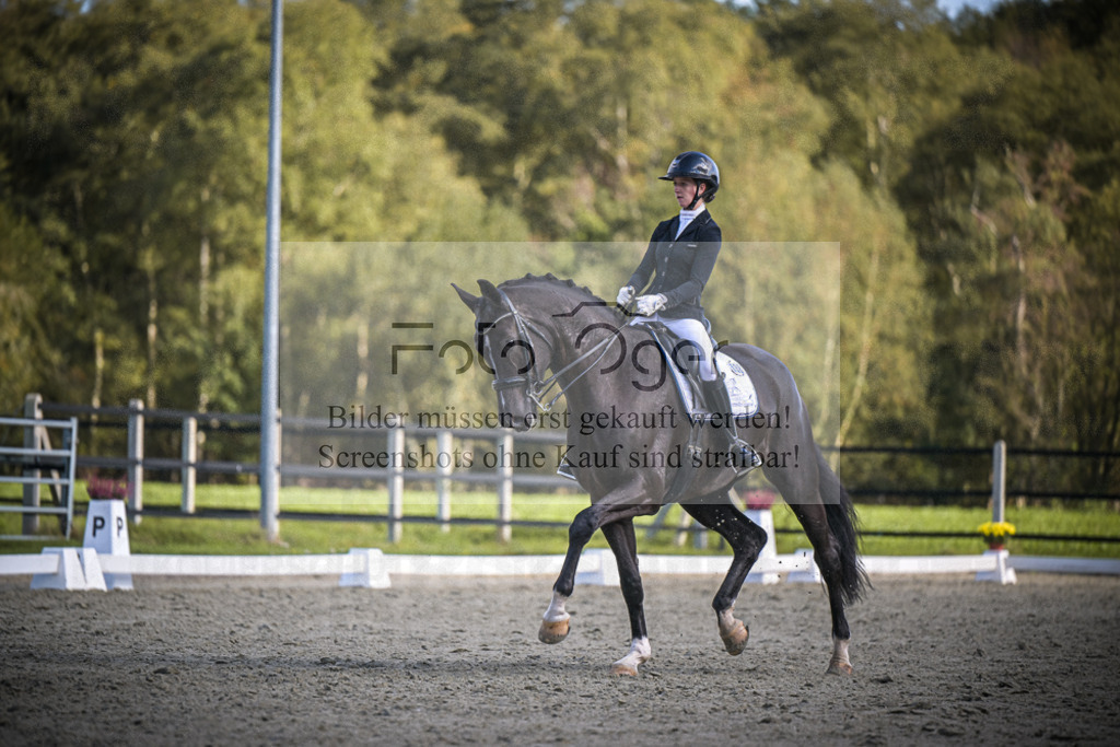 DOS_4211 | Entdecke hochwertige Reitturnierfotos von Foto Oger. Professionell, emotional und authentisch – jetzt Lieblingsmomente im Shop bestellen.Deutschlandweite Turnierfotografie. - Realisiert mit Pictrs.com