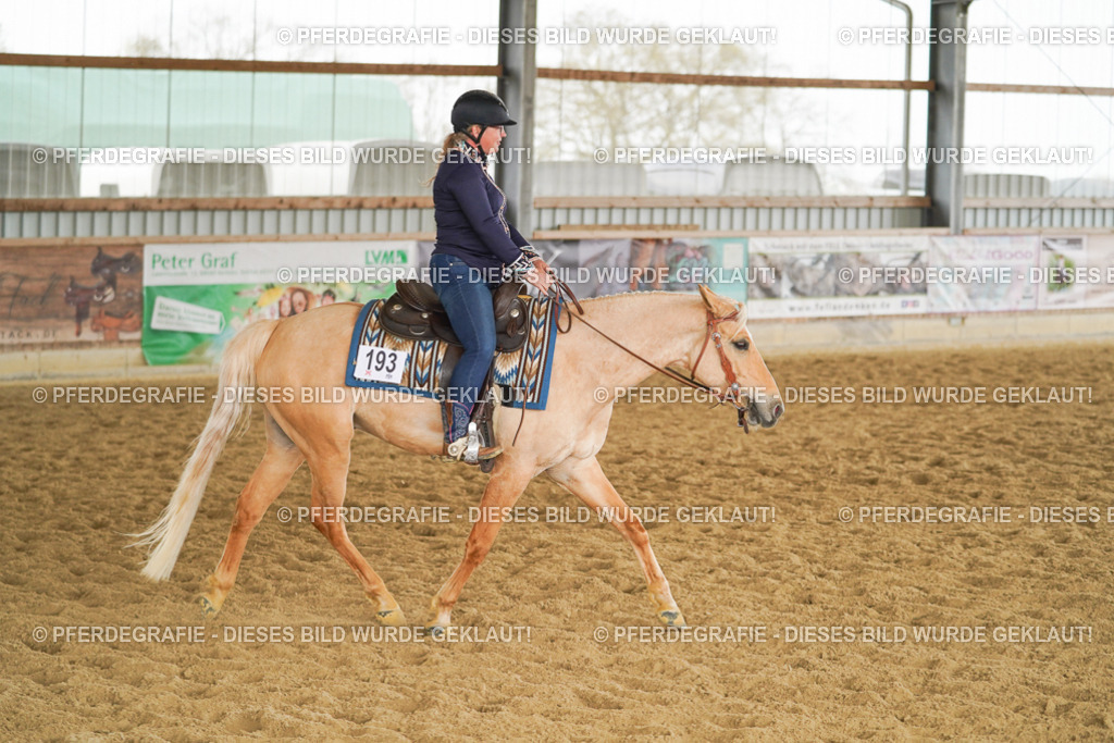 DSC06395 | Pferdegrafie