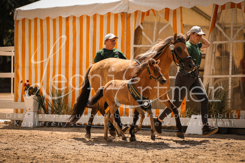 02.DoSR00236 | Leoni Ertmer Photography - Realisiert mit Pictrs.com