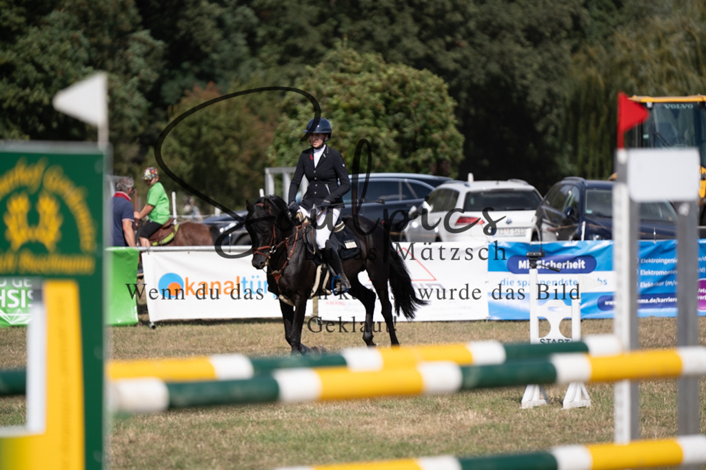 A7V09081 | Pferdefotograf