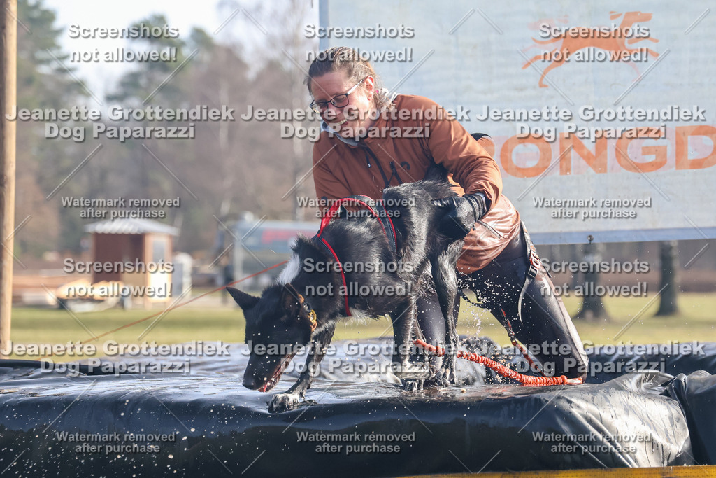 Dog Paparazzi - Strongdog North Mrz26-329 | Dog Paparazzi Jeanette Grottendiek Fotografie & Videografie - Realisiert mit Pictrs.com