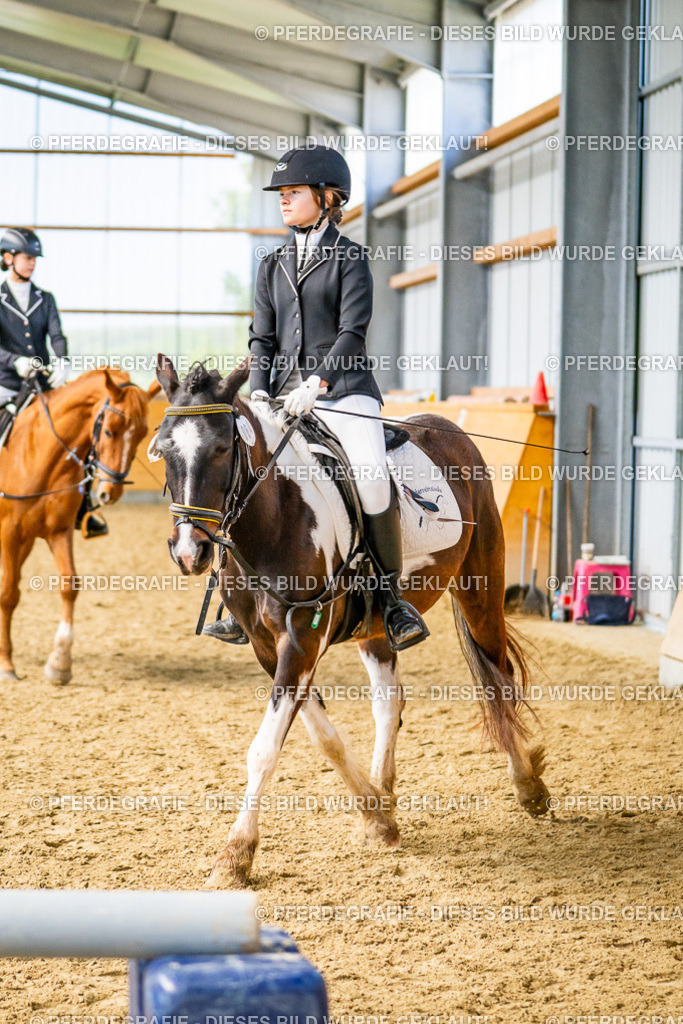 DSC03509 | Pferdegrafie