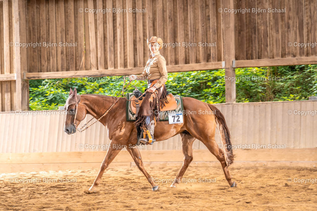 LMS03313 | BS-foto