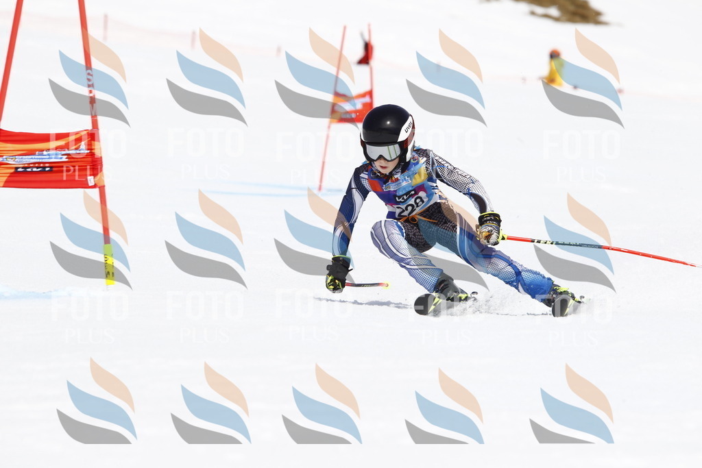 _U3G5885 | holidayphoto