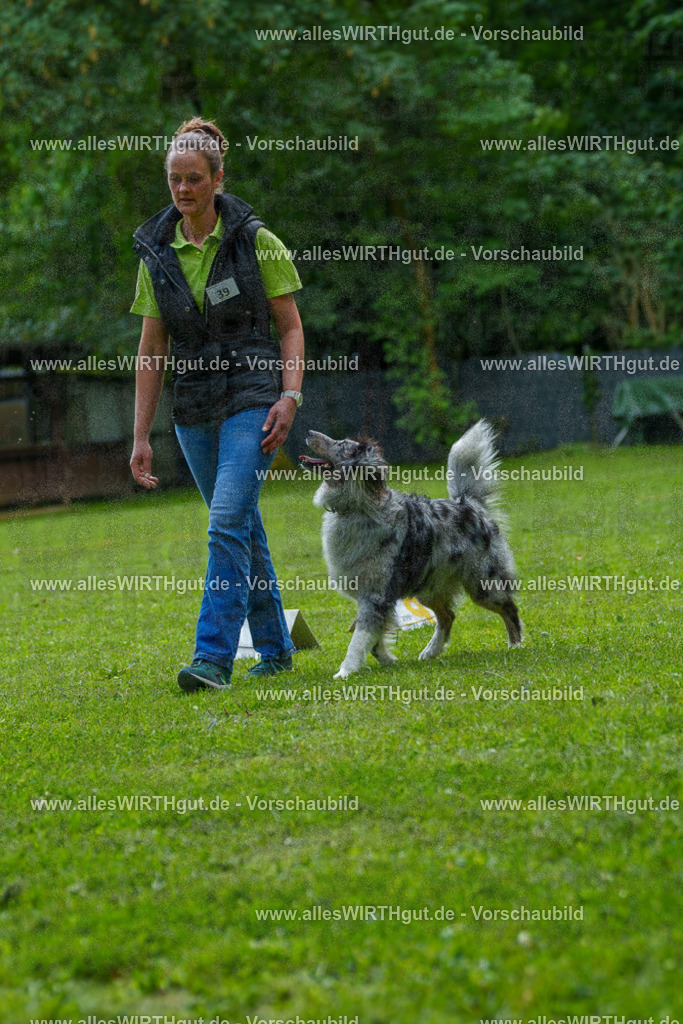 @allesWIRTHgut_Tierfotografie - www.allesWIRTHgut.de - 7R504767 | Professionelle Tierfotografie in Mönchengladbach von Daniel Wirth (allesWIRTHgut). Liebevolle & natürliche Bilder von Hunden & Katzen für unvergessliche Erinnerungen.