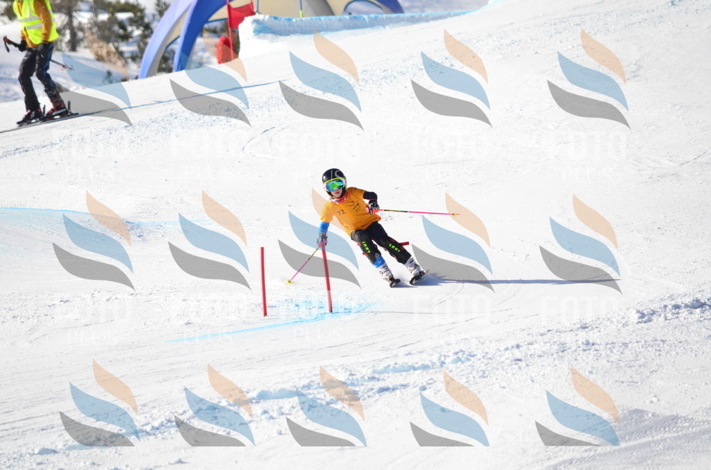 C5895 | holidayphoto