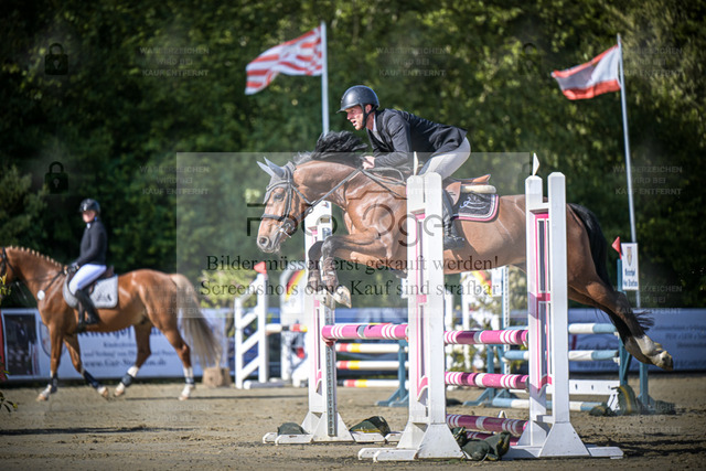 DOS_7459 | Entdecke hochwertige Reitturnierfotos von Foto Oger. Professionell, emotional und authentisch – jetzt Lieblingsmomente im Shop bestellen. - Realized with Pictrs.com