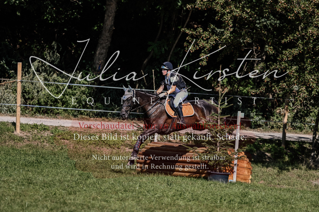 DSC_1778 | Pferde- und Turnierfotografie in Westsachsen. Pferdeportraits, Auftragszeichnungen und intuitive Kunst.