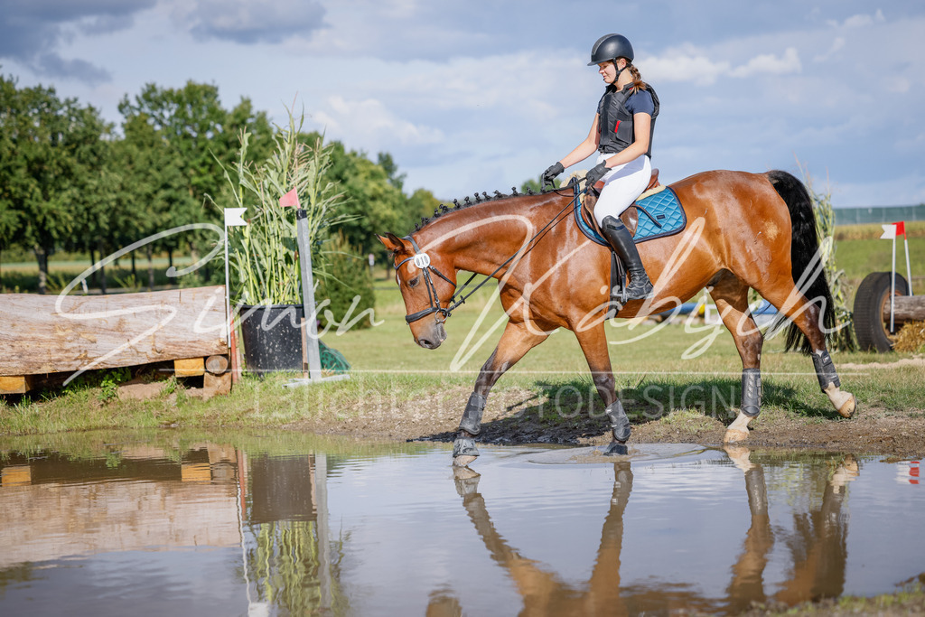 20250905-_3LI1557 | Tierfotografie Pferde, Hunde, Katzen, Haustiere.
Turnierfotografie Reitturniere, Reiten, Springreiten, Dressur in Hanau, dem Main-Kinzig-Kreis und dem Rhein-Main- Gebiet um Frankfurt