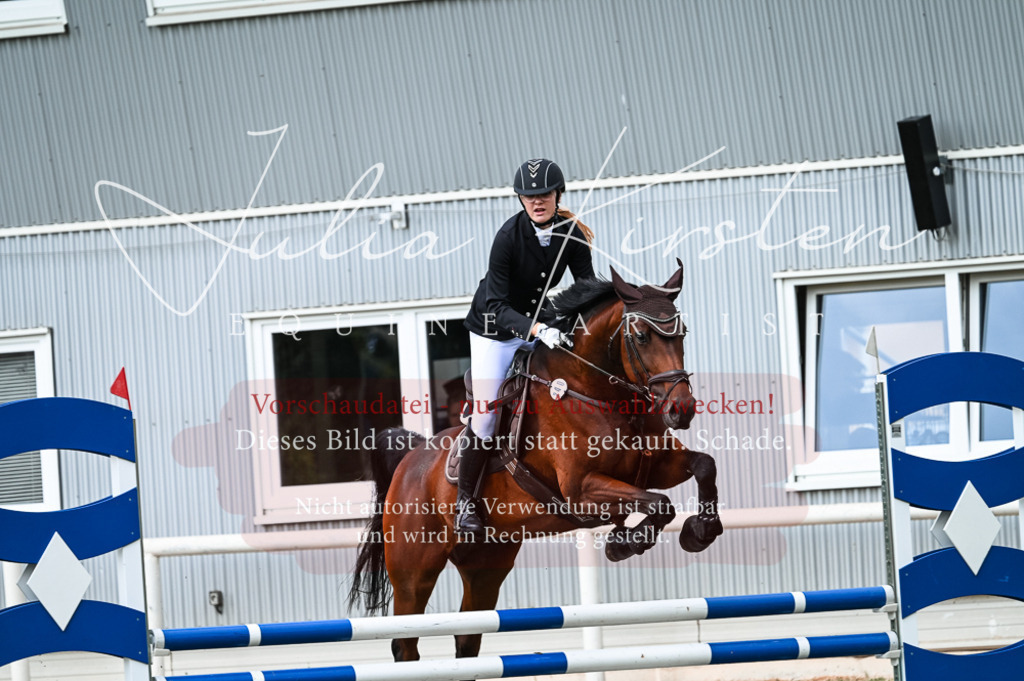 DSC_9045 | Pferde- und Turnierfotografie in Westsachsen. Pferdeportraits, Auftragszeichnungen und intuitive Kunst.
