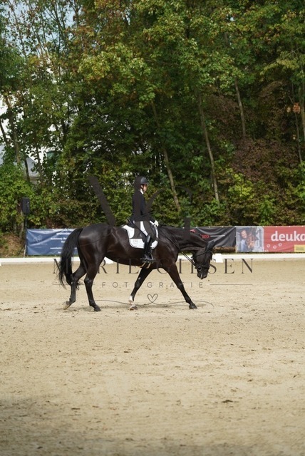 VAN01225 | Marie Giesen Fotografie - Realisiert mit Pictrs.com