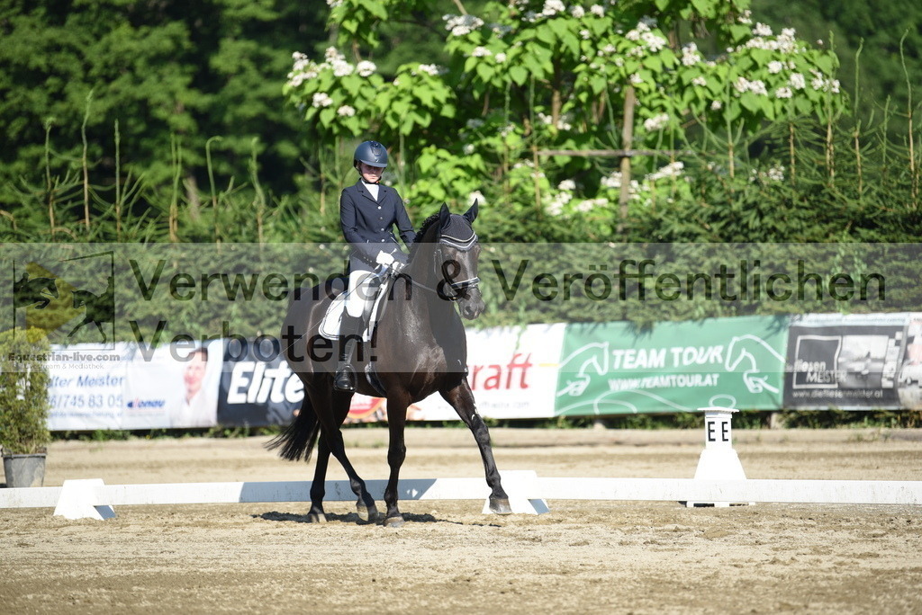DSC_7254 | equestrian-live-com