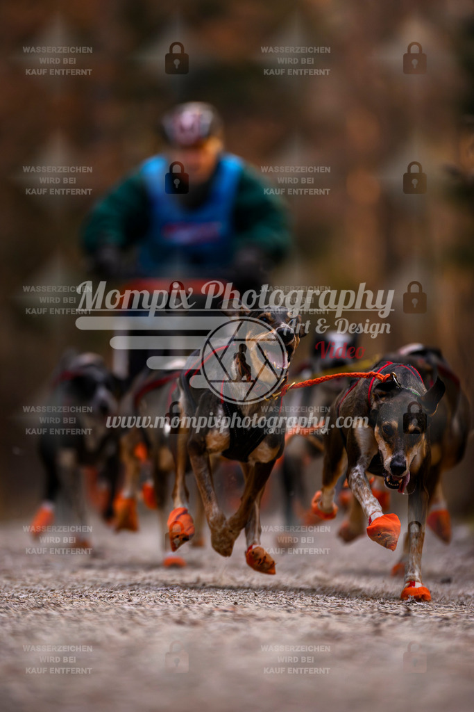 MompixPhotography_DM_AKDM_SO_2025_Wagen-11 | PayLife